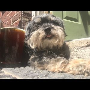 Meet your Posher, Danny